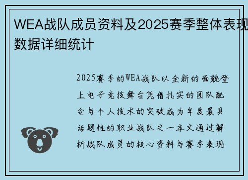 WEA战队成员资料及2025赛季整体表现数据详细统计